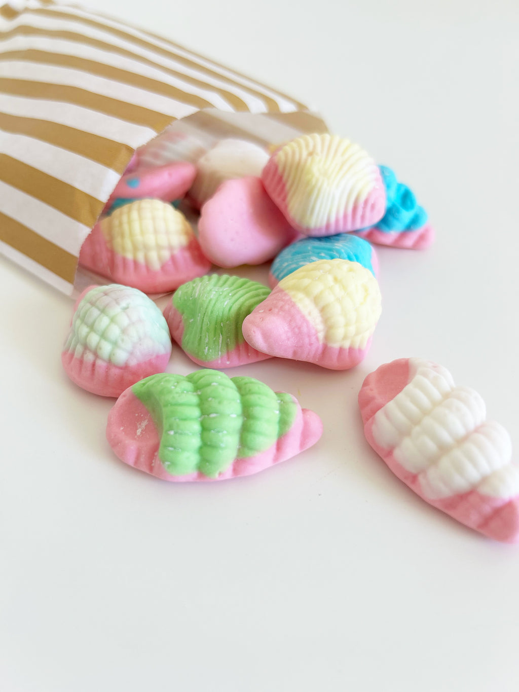 Foam Sea Shells image 0