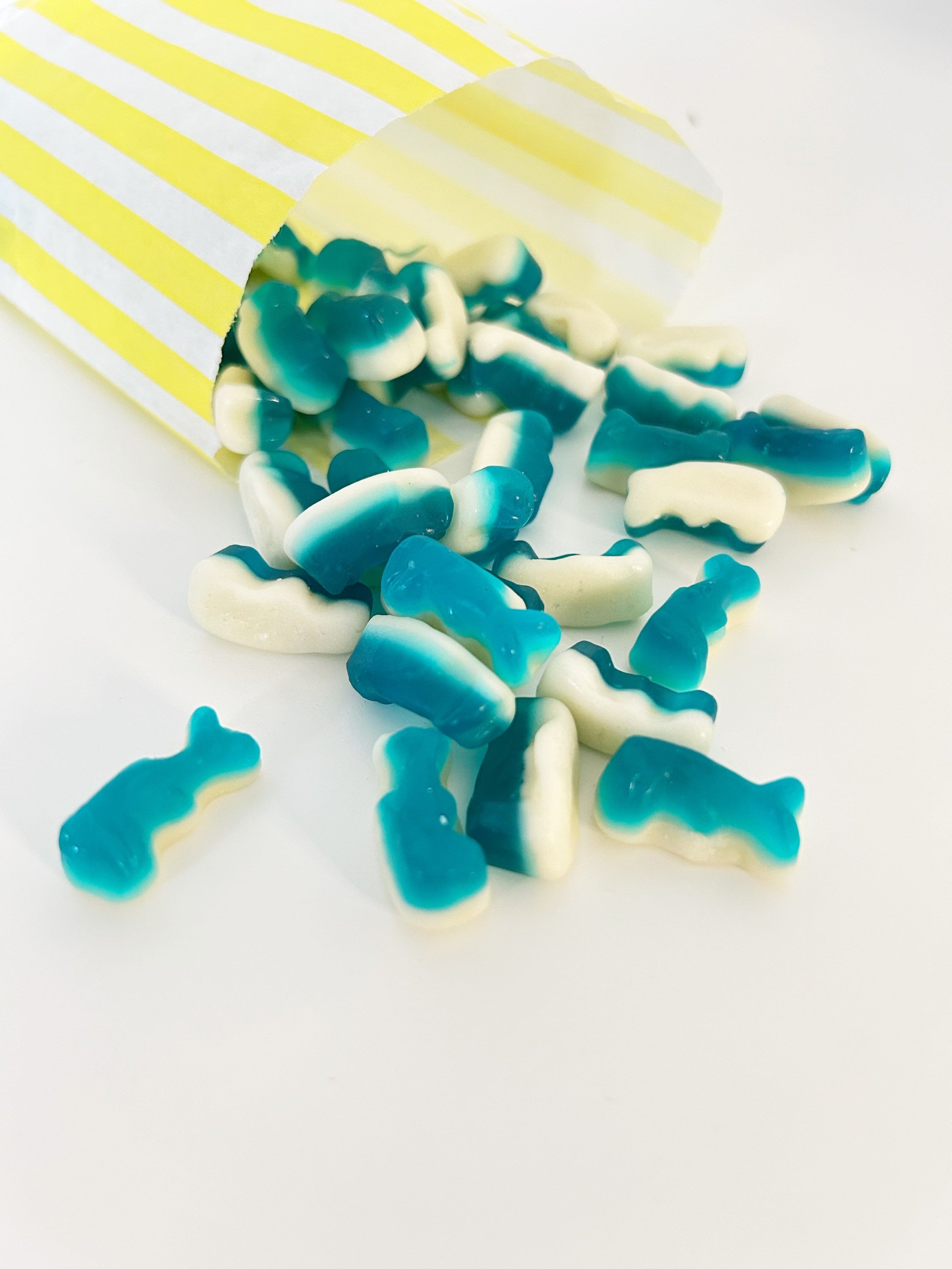 Jelly Dolphins image 0