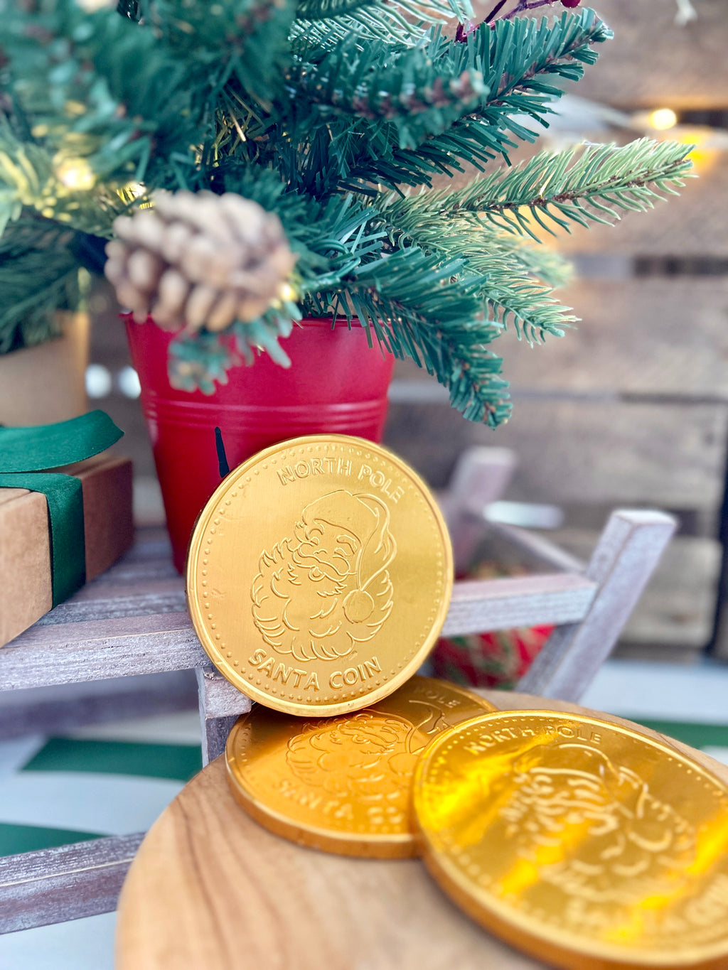 Giant Chocolate Coin