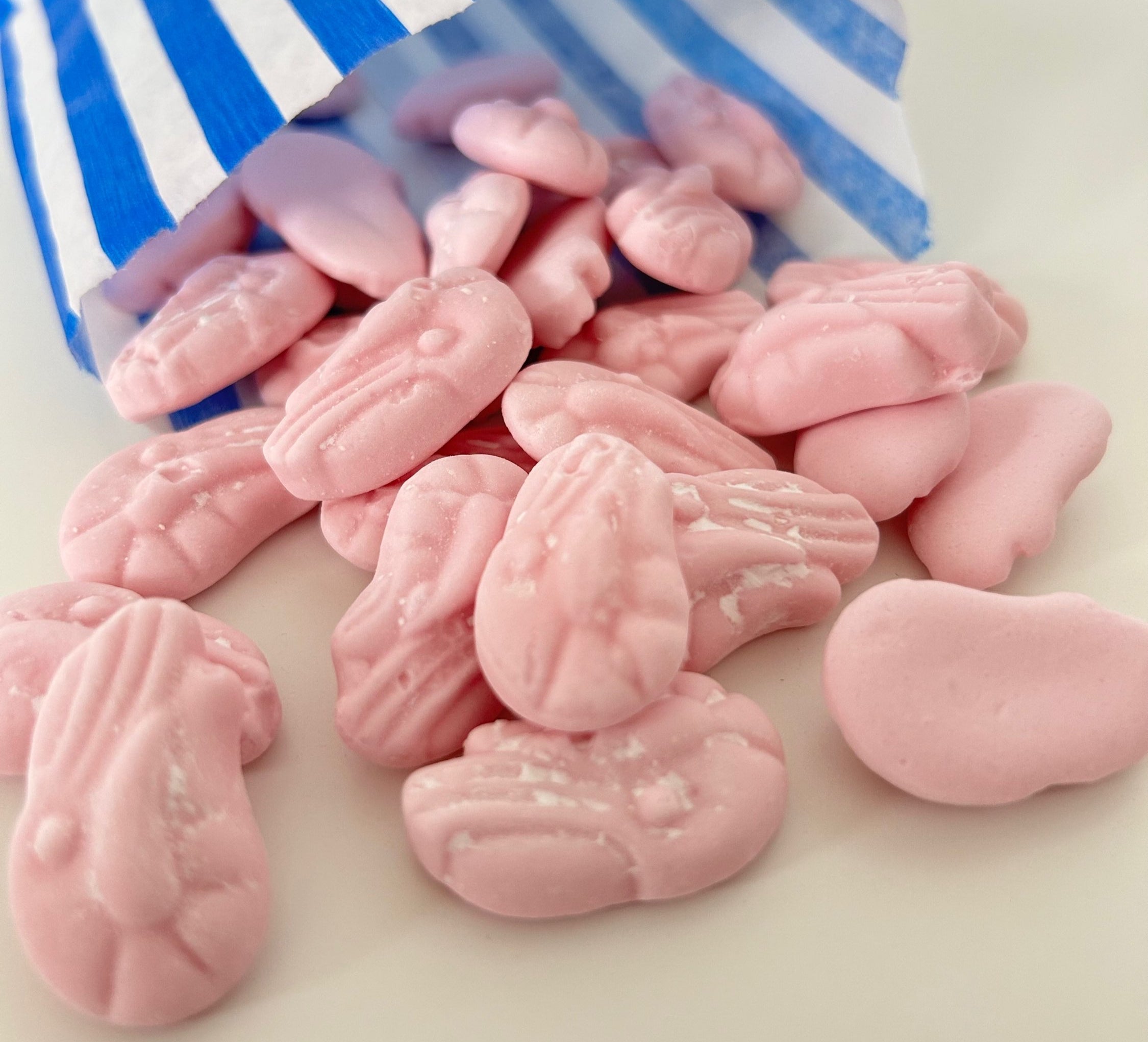Shrimps image 1