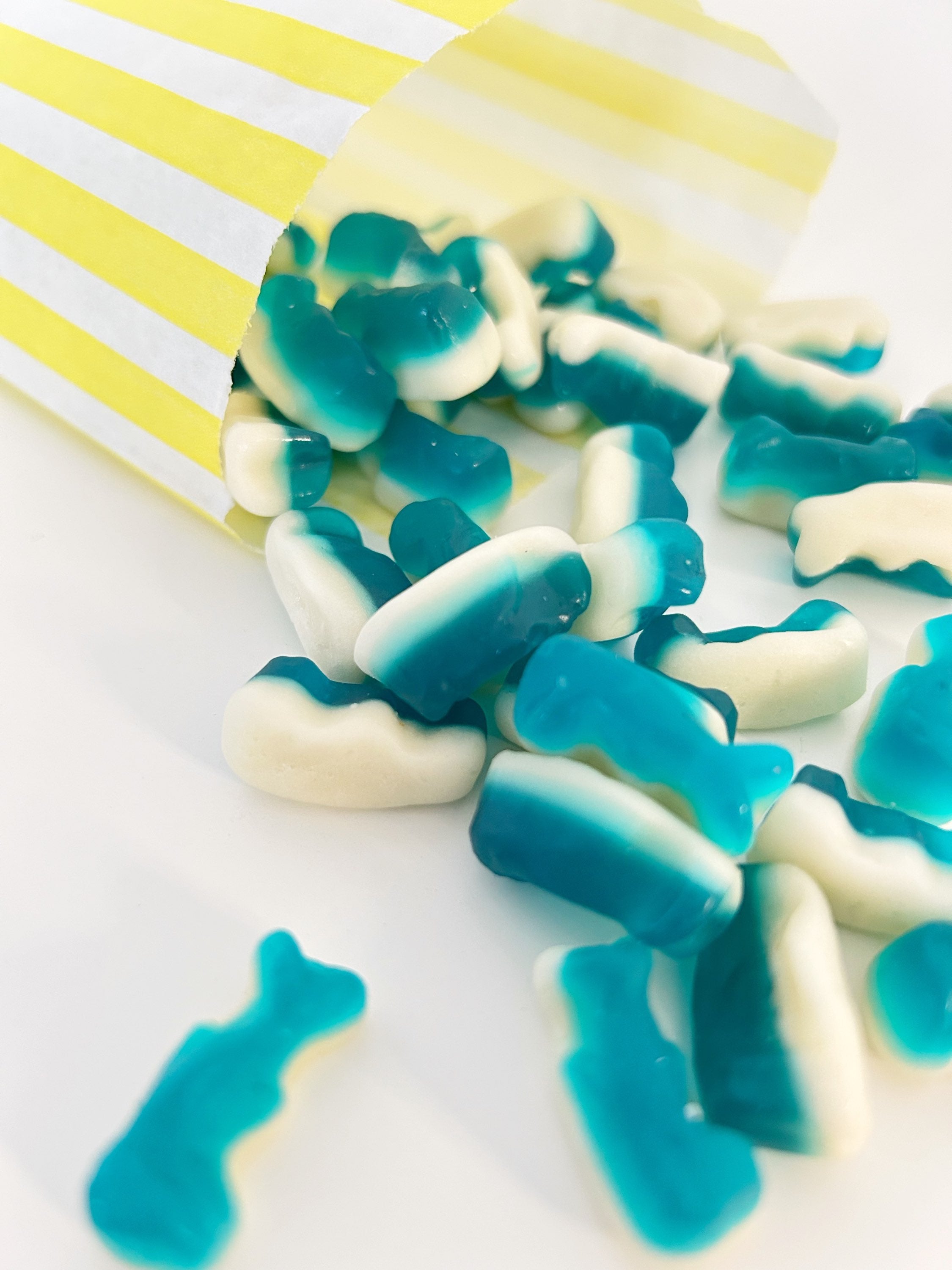 Jelly Dolphins image 1