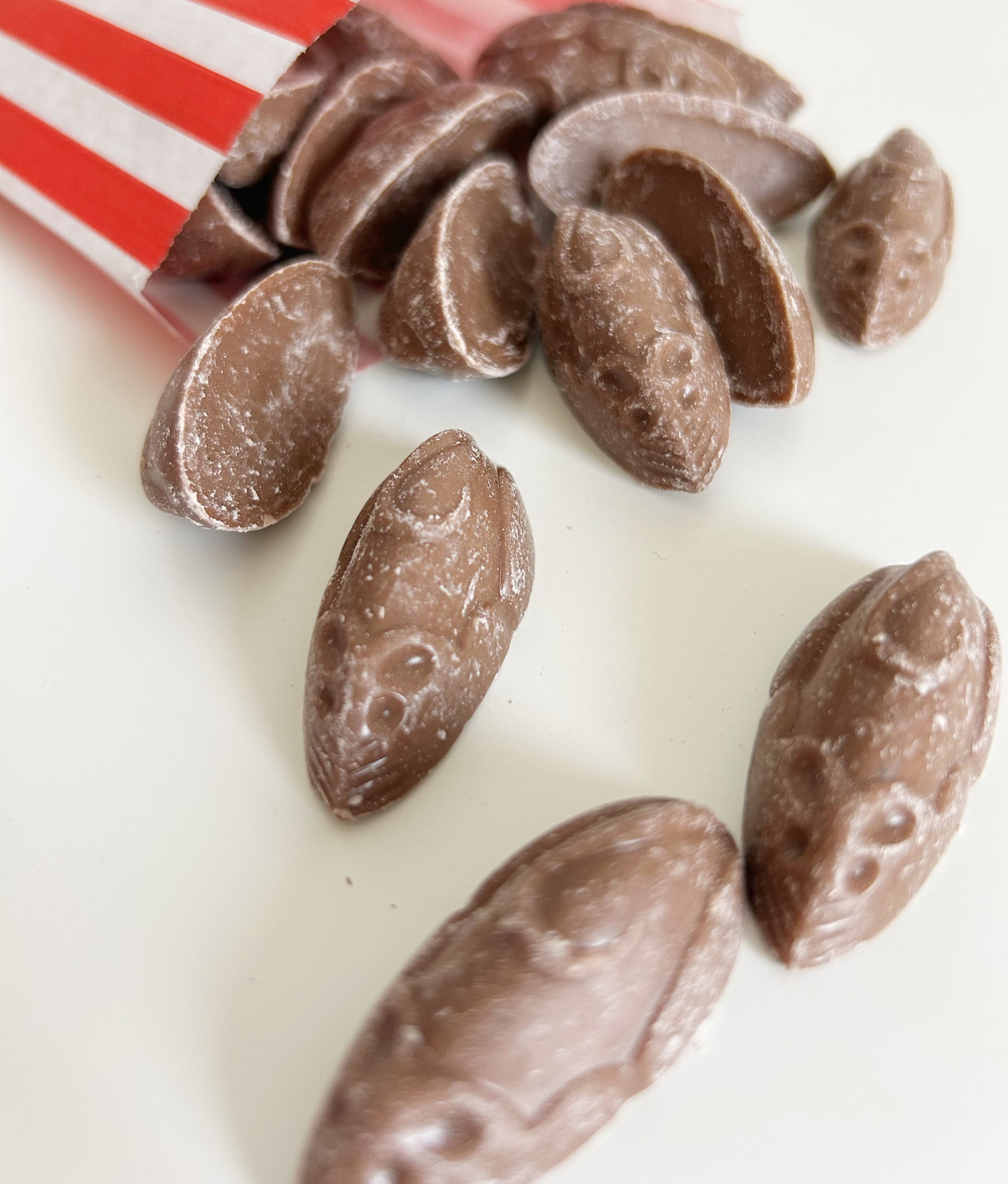 Chocolate Mice image 1