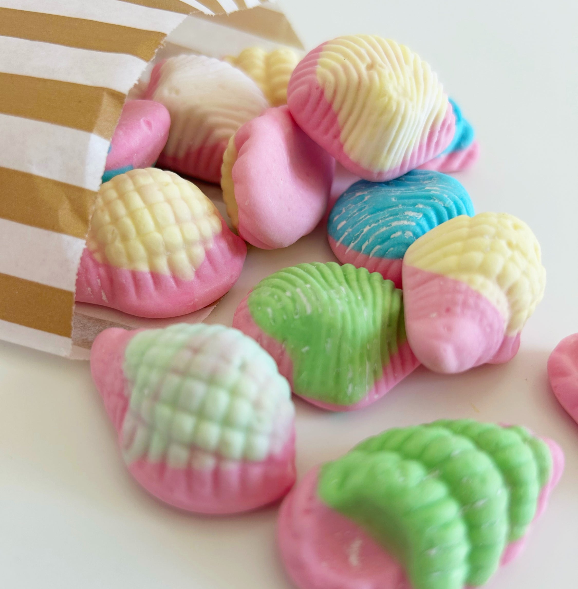 Foam Sea Shells image 1
